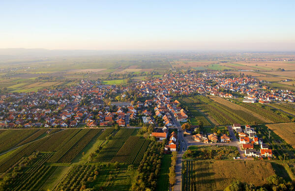 Luftbild der Ortsgemeinde Meckenheim